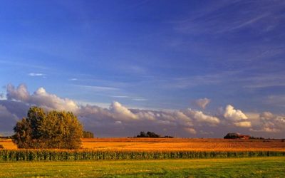 Dernières nouvelles